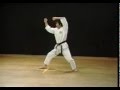 Heian Nidan - Shotokan (SKIF) - Hirokazu Kanazawa