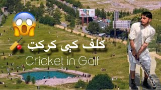 ګلف کې کرکټ|Crecket in Galf