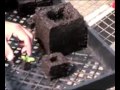 How to Start Your Seed with Soil Block Makers