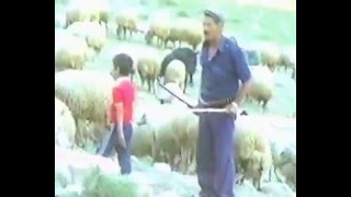 Nedim varol. Tufanbeyli. Ayvat köyü. Adana.(METİN Demir. YAYLA 1983