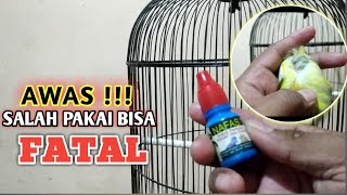 CARA PAKAI NAFAS 1 PADA BURUNG KENARI ‼️ SALAH PENANGANAN BISA FATAL