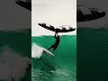 Craziest wing foil wave surf ever? 🤙🔥 #wingfoil #wingfoildaily