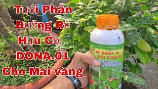 Tưới Phân Hữu Cơ Dưỡng Rễ DoNa 01, Giúp Cây kéo Đọt Mập Cốt Xanh Lá....