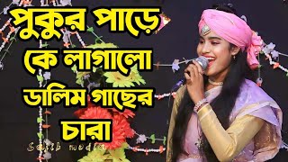 পুকুর পাড়ে কে লাগালো ডালিম গাছের চারা । জুই বাউলা । Sajib Media