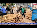 process of processing acacia wood into veneer for export