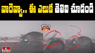 వారెవ్వా.. ఈ ఎలుక తెలివి చూడండి | Rat Idea | Jordar News | hmtv