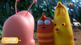 Chu~❤ | Animation Comlication | Larva Tuba | Official