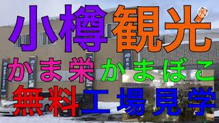 【小樽観光】かま栄の工場を無料で工場見学してみた！