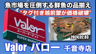 【Valor バロー 千音寺店 タグ付き越前蟹が価格破壊 魚市場を圧倒する鮮魚の品揃え】あばお 海鮮ちゃんねる #177 2024.02.03