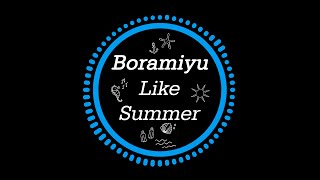 보라미유 (Boramiyu) - 어쩌다, 여름 (Like Summer) (Inst.)