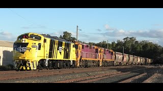 A70-N455-466 on 9193 at Dunolly.  15-02-25.