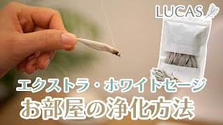 ホワイトセージの浄化方法【お部屋の浄化】LUCAS