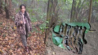 Hunting On Banana Blossom (3-12-24)