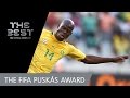 fpa16