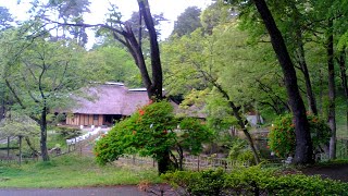 みちのく民俗村ライブ 2024.04.30 11:44