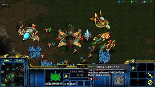 [스틱] 3vs3홈팀중에는 제일잘하는방인데 정말 잘하네요 헌터스타팀플 TeamPlay StarCraft