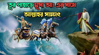 তূর পাহাড়ের উপর মূসা আ: যেভাবে দুয়া করে আল্লাহর কাছে সাহায্য চাইতেন || Hazrat Musa AS