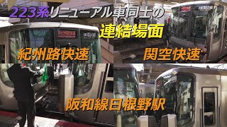 223系リニューアル車同士の関空/紀州路快速連結場面 阪和線日根野駅