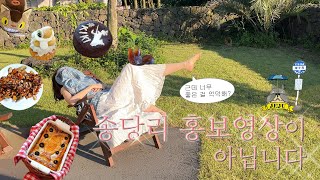 8개월 지나서 올리는 제주 2탄 어떤데 제주여행 vlog 2탄🧡🌴 (제주시골브이로그, 힐링스팟 송당리, 제주찐맛집, 지브리덕후, 타짜들의 전쟁🎴, 초여름 제주여행지 추천)