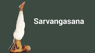 Sarvangasana - The Shoulder Stand