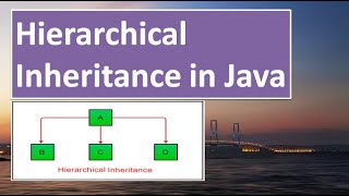 Hierarchical Inheritance in JAVA,#48