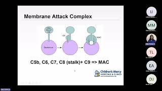 Sompayrac Ch 2-4: How the Immune System Works (Raje)