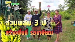 นิคมลุยสวน - งานประจำกับทำสวนผสม 3 ปี มีแต่เติบโต