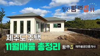 ♥ 월간 탐라집 2024년 11월 🏠 제주도주택 매물정리^_^