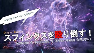 【ドラゴンズドグマ2】スフィンクスを殴り倒す