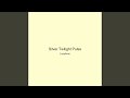 Silver Twilight Pulse