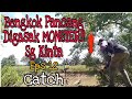 Pancang Bengkok Digasak MONSTER !! Sg Kinta || Eps 12 || Alhamdulillah || Catch || UJANGSAGATCHANNEL