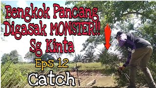 Pancang Bengkok Digasak MONSTER !! Sg Kinta || Eps 12 || Alhamdulillah || Catch || UJANGSAGATCHANNEL