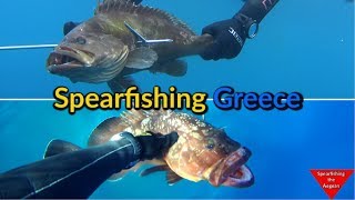 Amazing Spearfishing CATCH and COOK - Ψαροντούφεκο στην Ελλάδα ✔