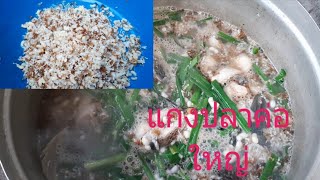 แกงปลาค่อใหญ่ ใส่ไข่มดแดง|ແກງປາຄໍ່ໃຫຍ່ ໃສ່ໄຂ່ມົດແດງ