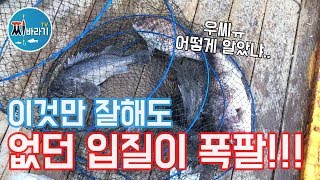 바다낚시터에서 이것만 잘해도 입질 폭팔!!! - 궁평바다낚시터 / 유료바다낚시터 / 바다낚시