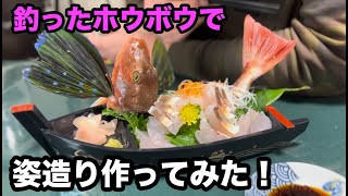 【休日のさかなかな#13】釣ったホウボウで姿造り作ってみた！