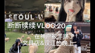 ［谢天依］断断续续VLOG 20｜首尔文具店｜夏天汉江的晚上｜神户六甲牧场｜好心给食物 结果被羊踢TT