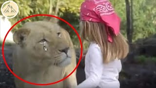 動物園で泣きながら女のこに見つめる雌ライオン。飼育員がメスライオンに近づくと、心が折れるような事実が発見……