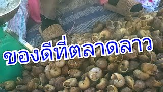 ตลาดลาวธาตุพนมบ้านเฮา