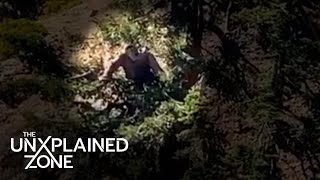 Top 4 Most Shocking Bigfoot Sightings You Need to See Compilation | The Proof Is Out There