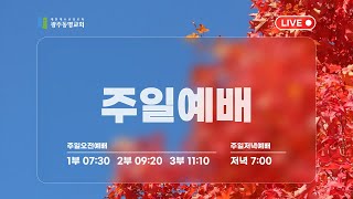 2024. 11. 10. 광주동명교회 주일 오전 예배