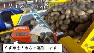 ノブタ農機　農産物選別機の機能紹介-くず芋の選別