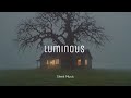 Sleek Music -Luminous-