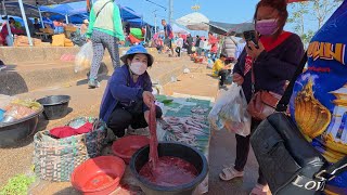 #อาหารตามฤดูกาล น้องควาย ปลาน้ำโขง แมงแคง ตลาดนัดไทย-ลาว อ.ธาตุพนม จังหวัดนครพนม