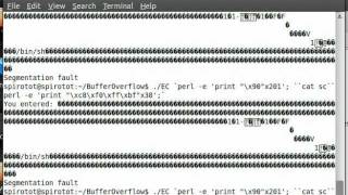 Simple Stack-Based Buffer Overflow Exploitation Tutorial - Ubuntu 10.10