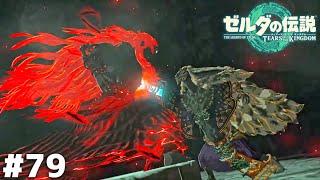 手札は全て揃った【ゼルダの伝説 ティアーズ オブ ザ キングダム】＃７９