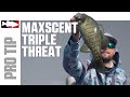 Justin Lucas's Berkley Maxscent Triple Threat