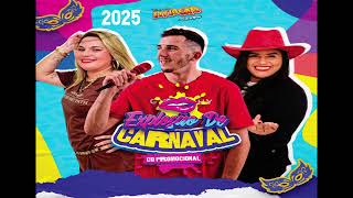 BANDA EXPLOSÃO DO SOM CARNAVAL  FEVEREIRO 2025  PROMOCIONAL