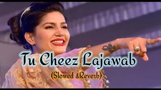 Tu Cheez Lajawab [Slowed+Reverb] |Bass Boosted |Sapna Choudhary | Haryanvi Lofi Song
