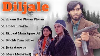 'Diljale' Audio Jukebox/Ajay Devgan/Sonali Bendre/Madhoo/Hindisongs